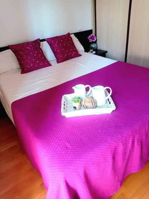 Apartament Acogedor Apartamento Con Piscina Y Garaje Huesca Zewnętrze zdjęcie